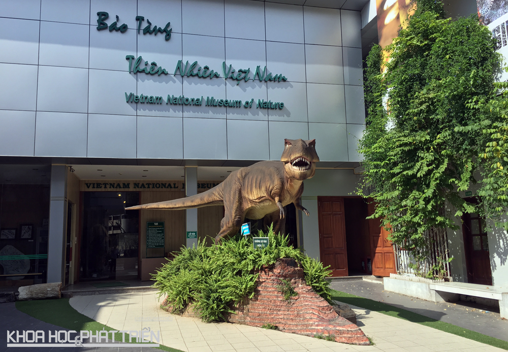  Bảo tàng Thiên nhiên Việt Nam